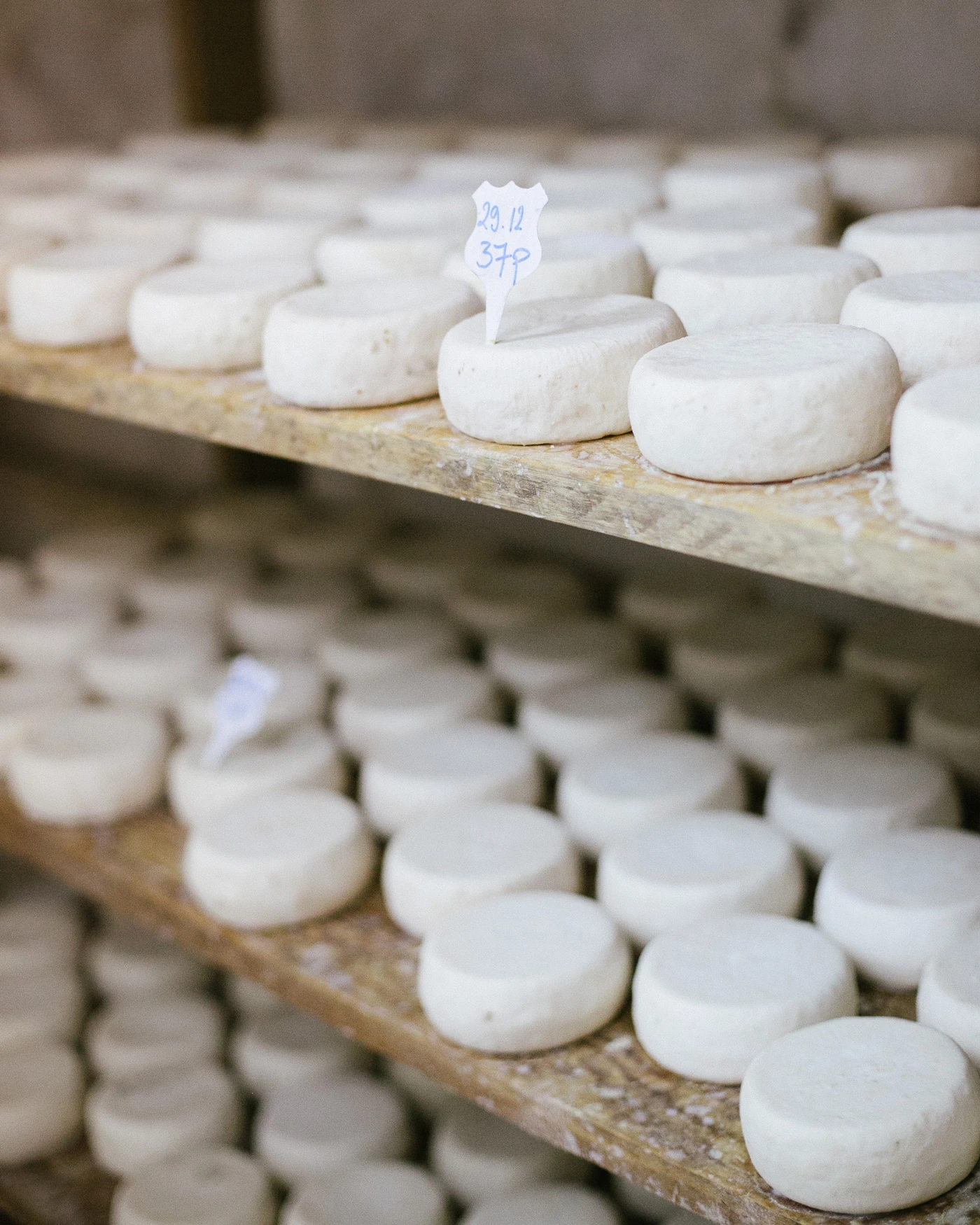 Die fünf Schritte der Ziegenkäse-Herstellung